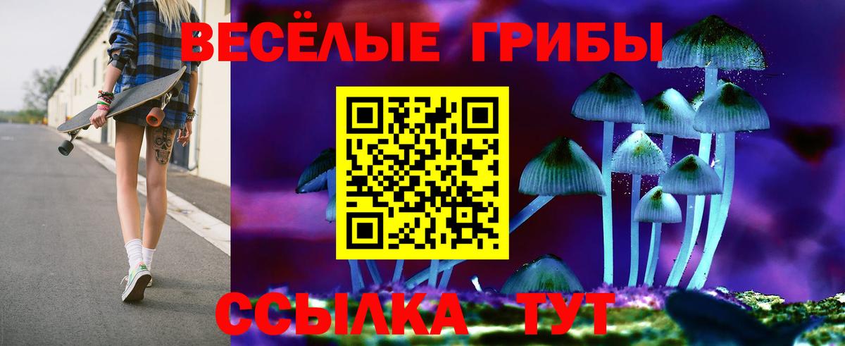 Галлюциногенные грибы Cubensis Тобольск
