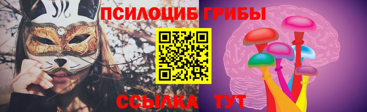 Галлюциногенные грибы прущие грибы  Вход с VPN  Тобольск  Псилоцибиновые грибы мухоморы 